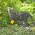 Debra Clark's profile image