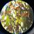 Luis Tovar's profile image