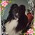 Kathy Moore's profile image