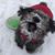 Jo Ann Dombeck's profile image
