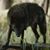 Jakoda Cherry's profile image