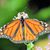 Beverley Ann McDonald's profile image