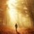 Sandy Smith's profile image