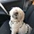 Elizabeth Tischer's profile image