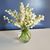 Monica Boehm Jenkins's profile image