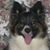 Jeffrey P. Miller's profile image