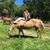 Dubeyoung Nancy's profile image