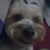 Rita Marie Trucios's profile image