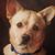 Elizabeth Peterson's profile image
