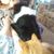 Sharon Hoover Ward's profile image