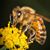 David Cranford's profile image