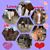 Gail Stahlman's profile image