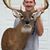 Paul Willis's profile image