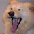 Pamela Schultz Zerby's profile image