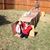 Anne Barnes's profile image