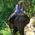 Jeanette Roc's profile image