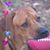 Susan ORourke McWatters's profile image