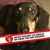 Kimberly Kincaid's profile image