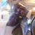 Tony Matlock's profile image