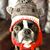 Conni Forrest's profile image