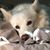 Cindy McCaslin's profile image