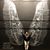 Melissa Cadd's profile image
