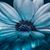 Cheryl Lindgren's profile image