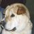 Mary Lou White's profile image