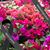 Wendy J Gerdes's profile image