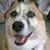 Sherrie Pendergrast's profile image