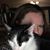 Pamela Dailey's profile image