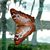 Vicki Joseph Wright's profile image