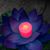 Kimberly Stone's profile image