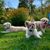 Missy Ickes Natale's profile image