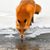 Leah Furrow's profile image