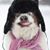 Mary Williams's profile image