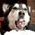 Koda Kolenich's profile image