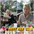 Misty Lee Piet's profile image