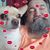 Gregory Allen's profile image