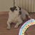 Nilda Torres's profile image