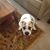 Sandi Schlaff's profile image