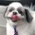 Lori Munsell's profile image