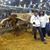 Kathy Hughes's profile image