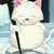 Alessandro Chan's profile image