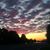 Suitland Larry's profile image