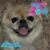 Christie Compton-Gourdoux's profile image