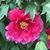 Robin Smith's profile image
