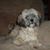 Elaine Morrison's profile image