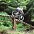 Steve Railing's profile image