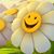 Sharon Larkin's profile image